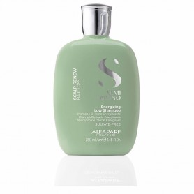 ALFAPARF - SEMI DI LINO scalp renew energizing shampoo 250 ml